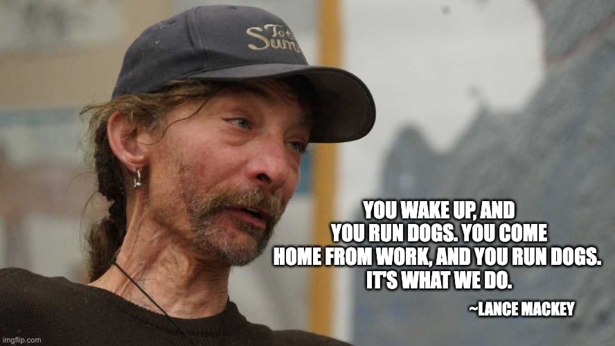 wilkolaak's tweet photo. You wake up, and you run dogs. You come home from work, and you run dogs. It's what we do. ~Lance Mackey #dog #dogs #sleddog #mushing #dogsled https://t.co/wy66xIMaOm