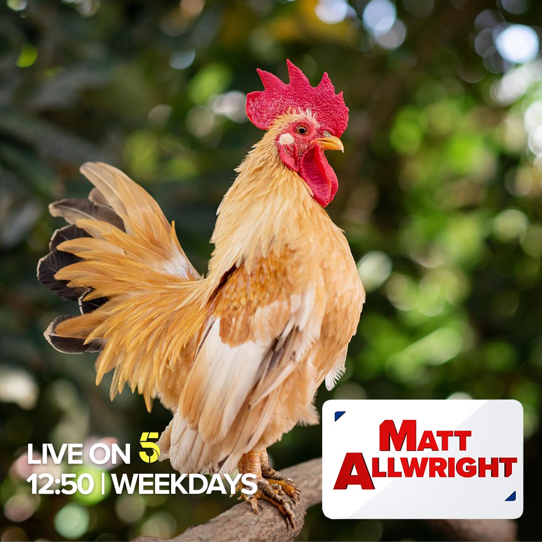 Jeremy Vine & Daytime on 5 tweet media