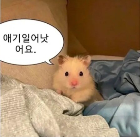 애기일어낫어요. tweet media