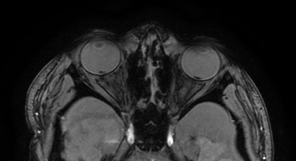 Jack Garnham tweet media