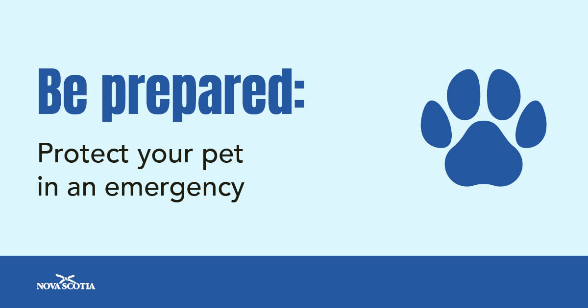 Nova Scotia Emergency Management tweet media