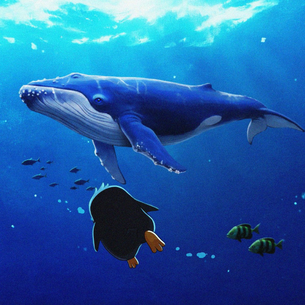 NietzscheanSol_'s tweet photo. Penguins must spend some time underwater to feed and refuel for the march ahead 🐟🐧 https://t.co/XueVdlx89K