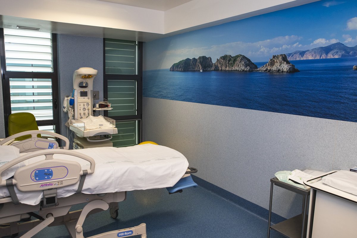 HU Son Espases tweet media