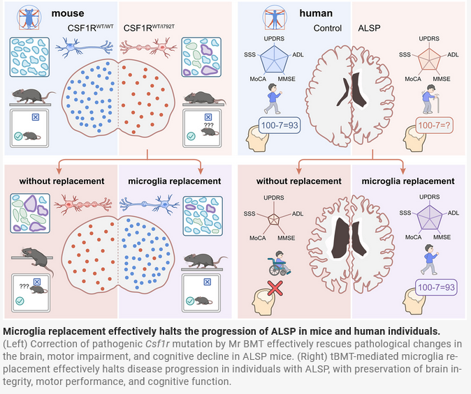 European Glial Meeting 2027 tweet media