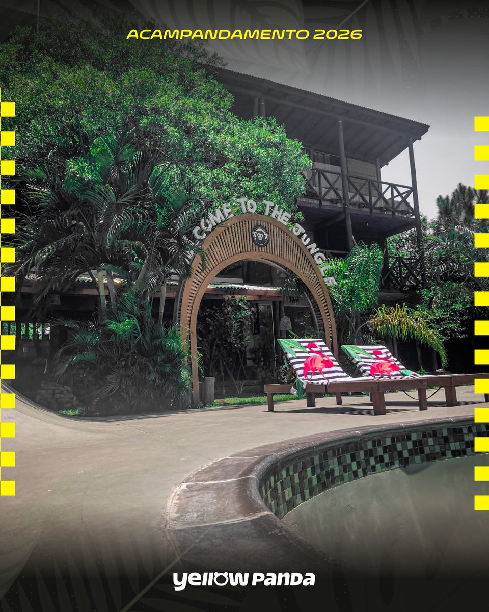 Yellow Panda tweet media