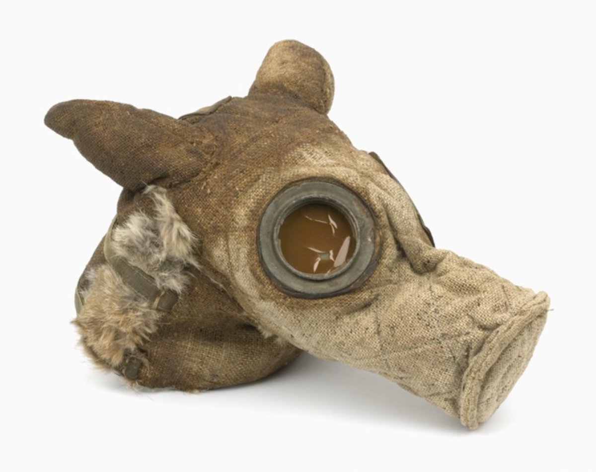 Gas mask for a German Army messenger dog