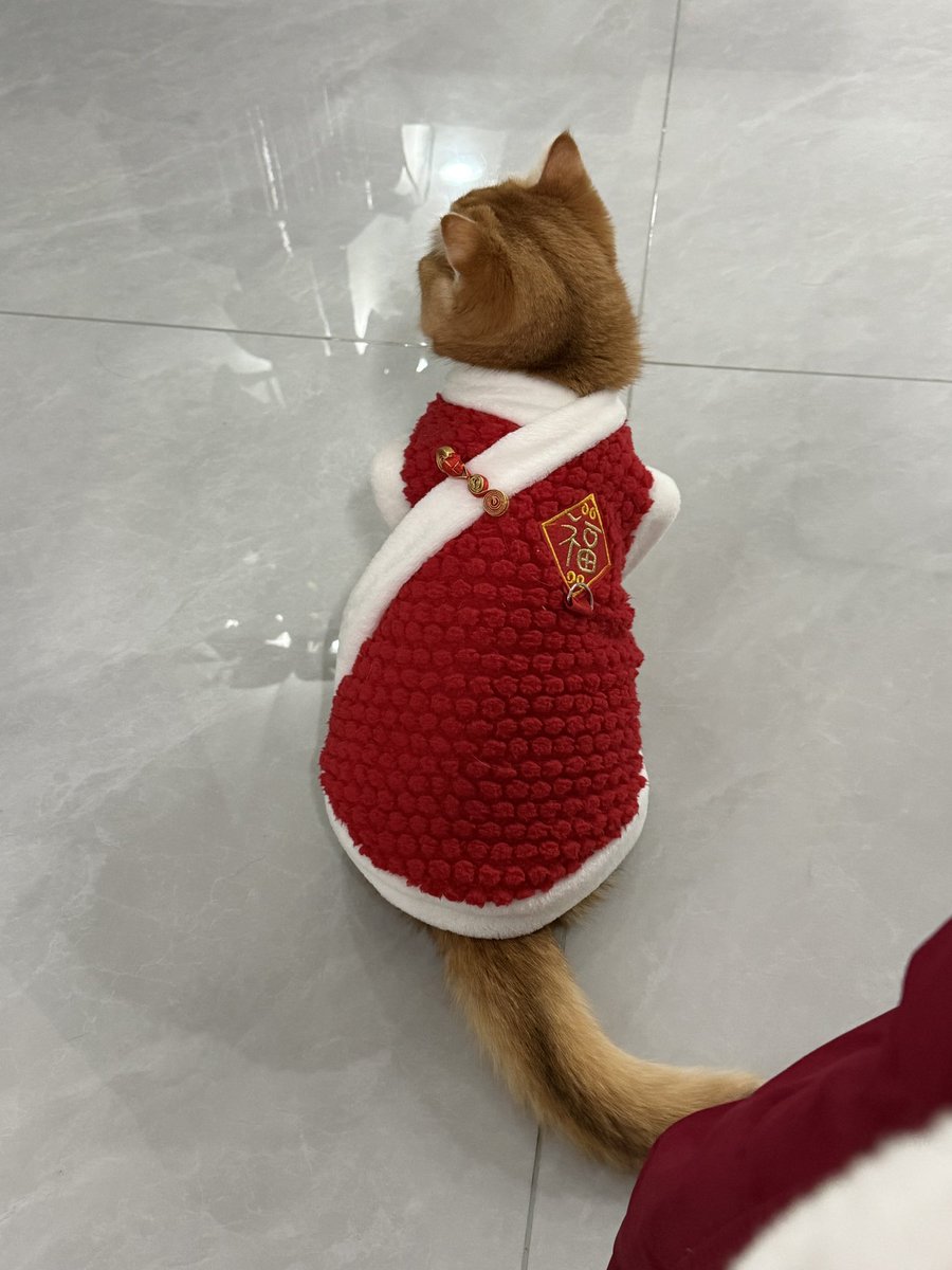 Tinachris55680's tweet photo. @huggy007iss 后来给他换了一件还是不会走路 https://t.co/TCrQ9hMn1n