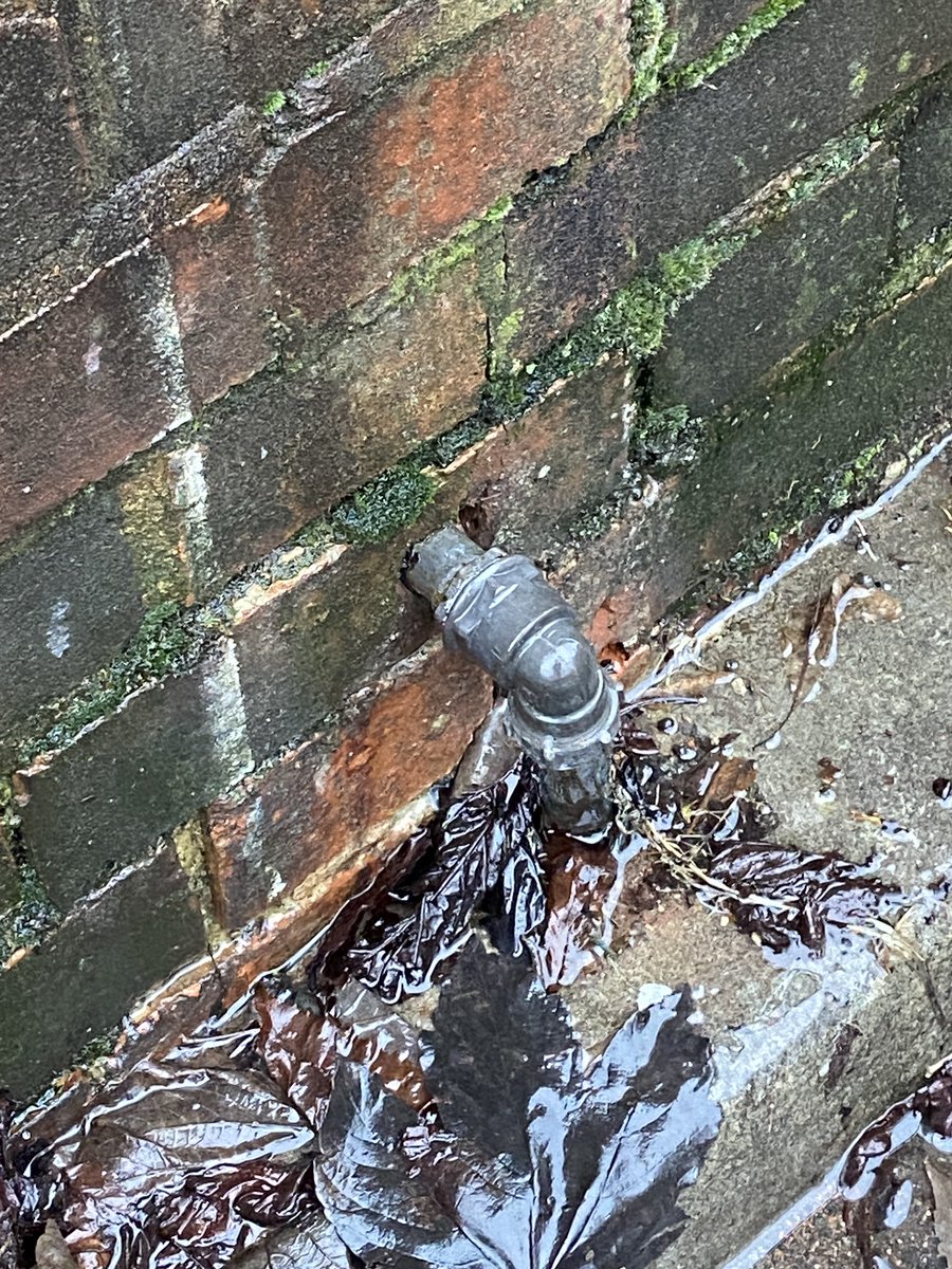 Andy Stanton tweet media