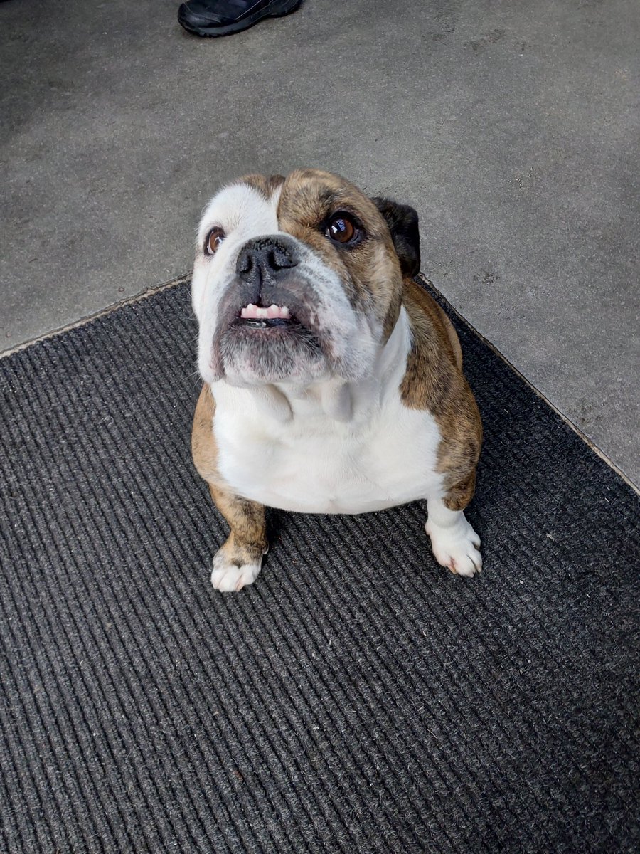 Small Heath & Highgate Police tweet media