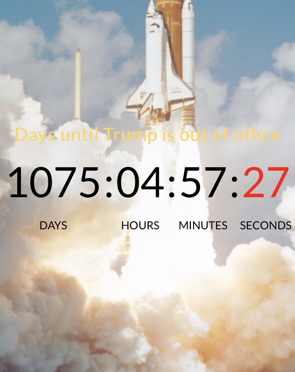 Lyndsey Shewchyk tweet media