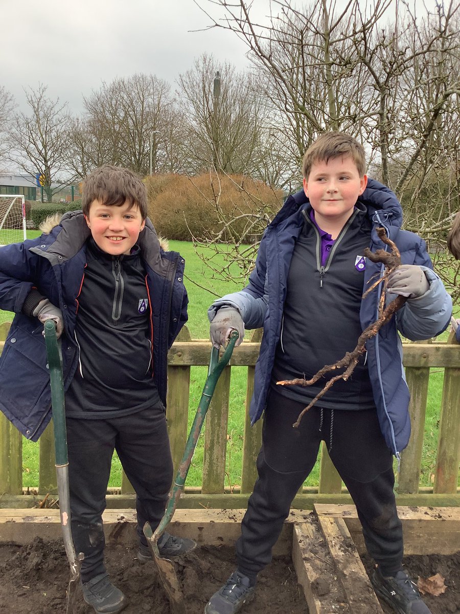 SPBYear5 tweet media