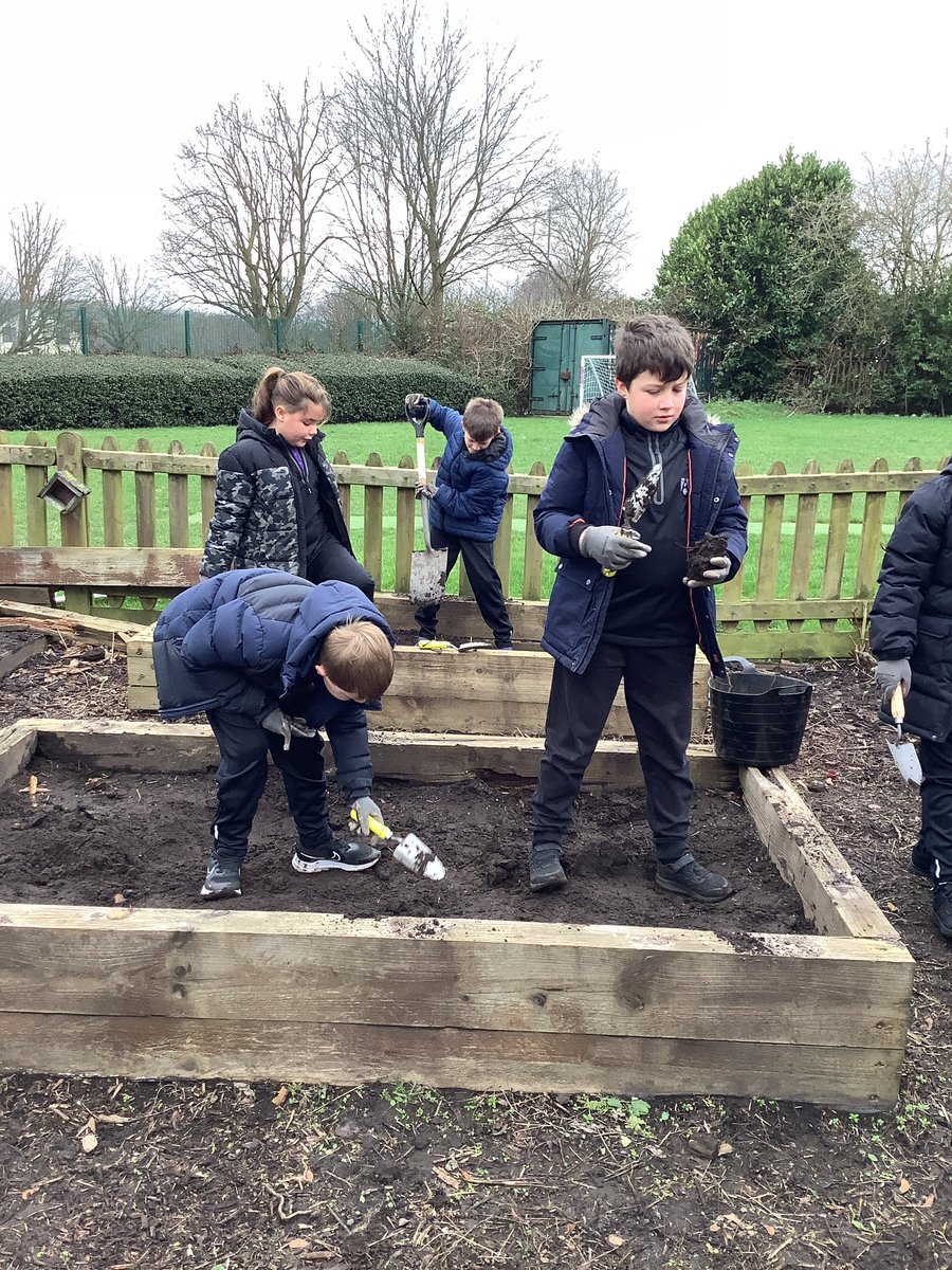 Fantastic work in our allotment!