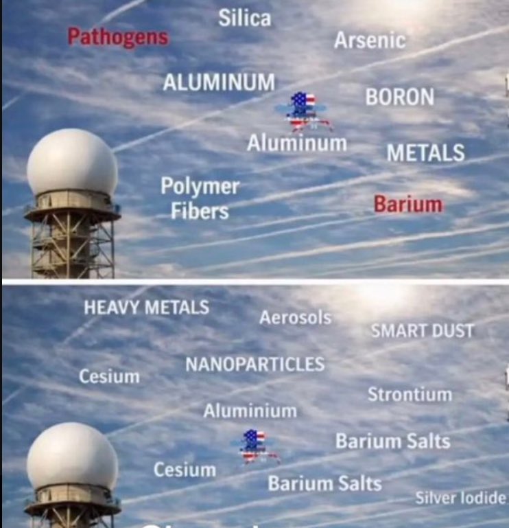 BGatesIsaPyscho's tweet image. No longer a conspiracy and it’s affecting every living organism on the entire planet.

Question is why The Globalists are doing this?  Other than the fact that they are pure evil.