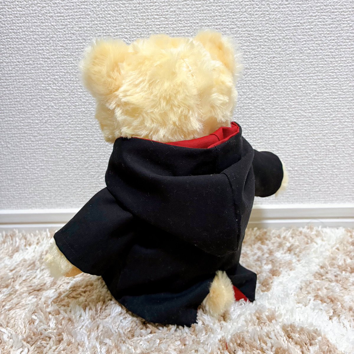 つぶあん🫘 (@tsubu_akam) / Posts / X