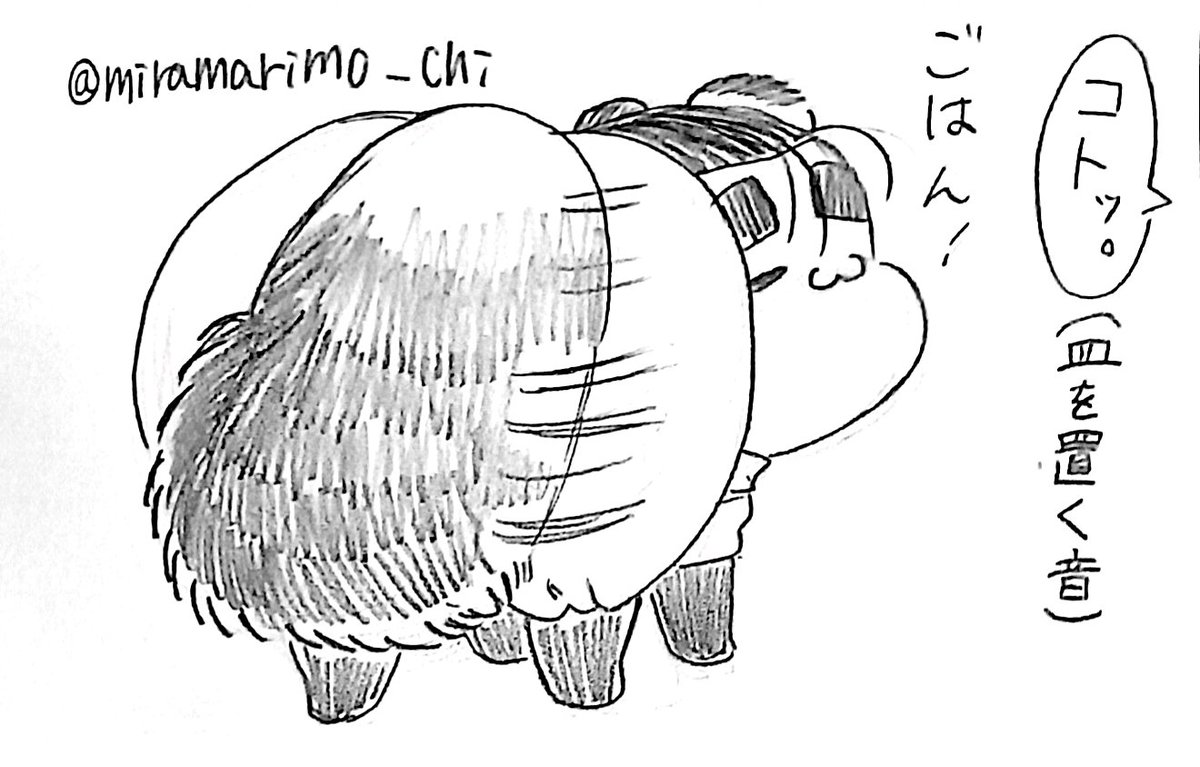 まりも🌏️ (@miramarimo_chi) / Posts / X