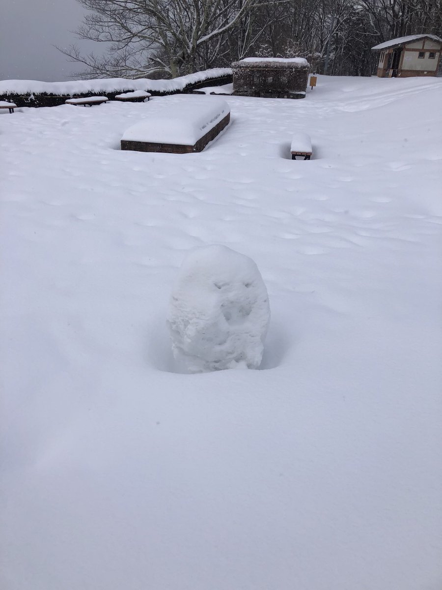 モナチョ (@mo_oyt) on Twitter photo 