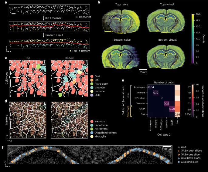 Identifying 3D signal overlaps in spatial transcriptomics data with ...