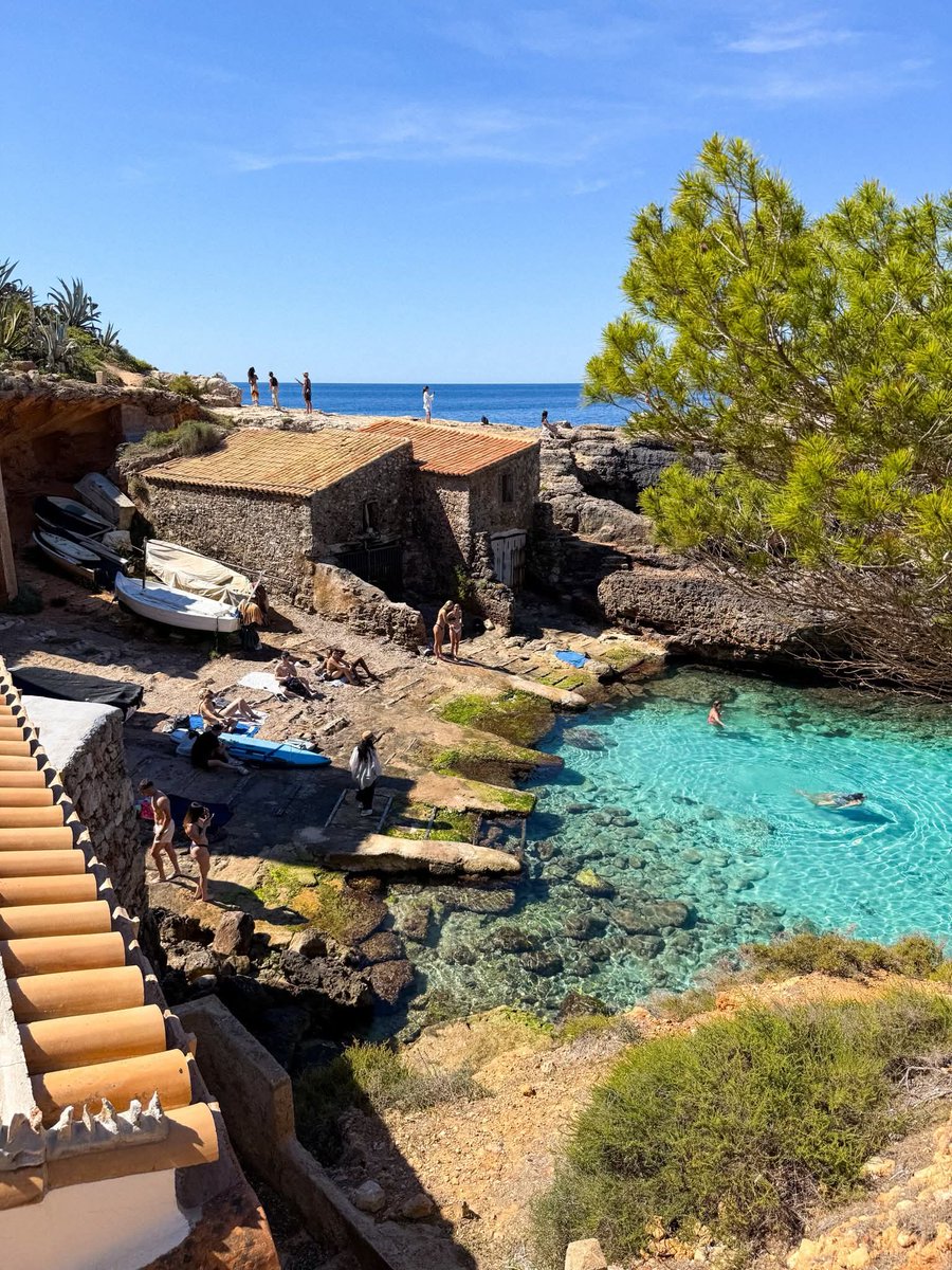 MozartCultures's tweet image. Mallorca, Spain