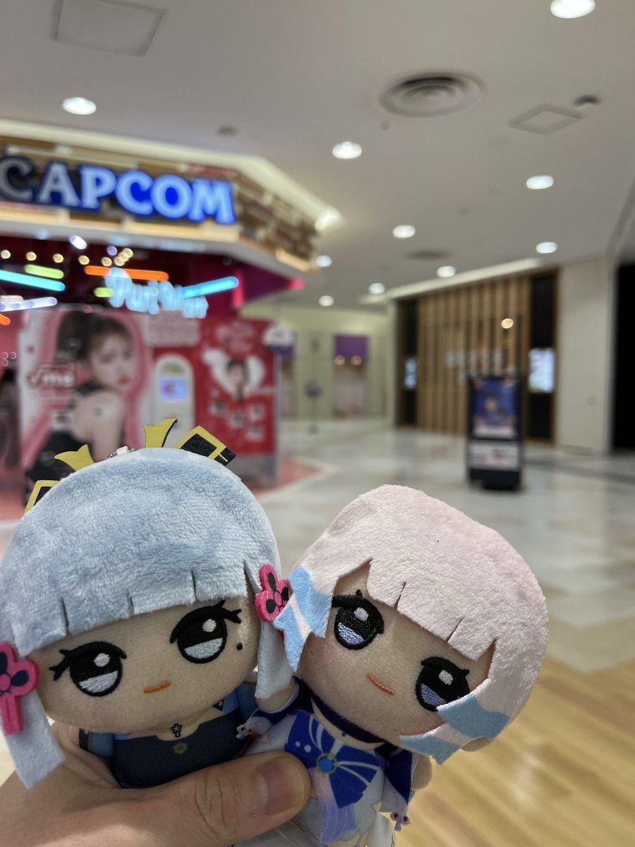 ariiiibaba's tweet photo. 凍結ぬい https://t.co/6Y4BVwtSQb