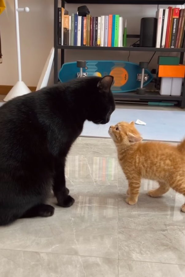 #ZICO_TOKYODRIVE

냥냥키차이
 
#ZICO #지코  <a href="/zico_koz/">ZICO</a> 
#Lilas #幾田りら