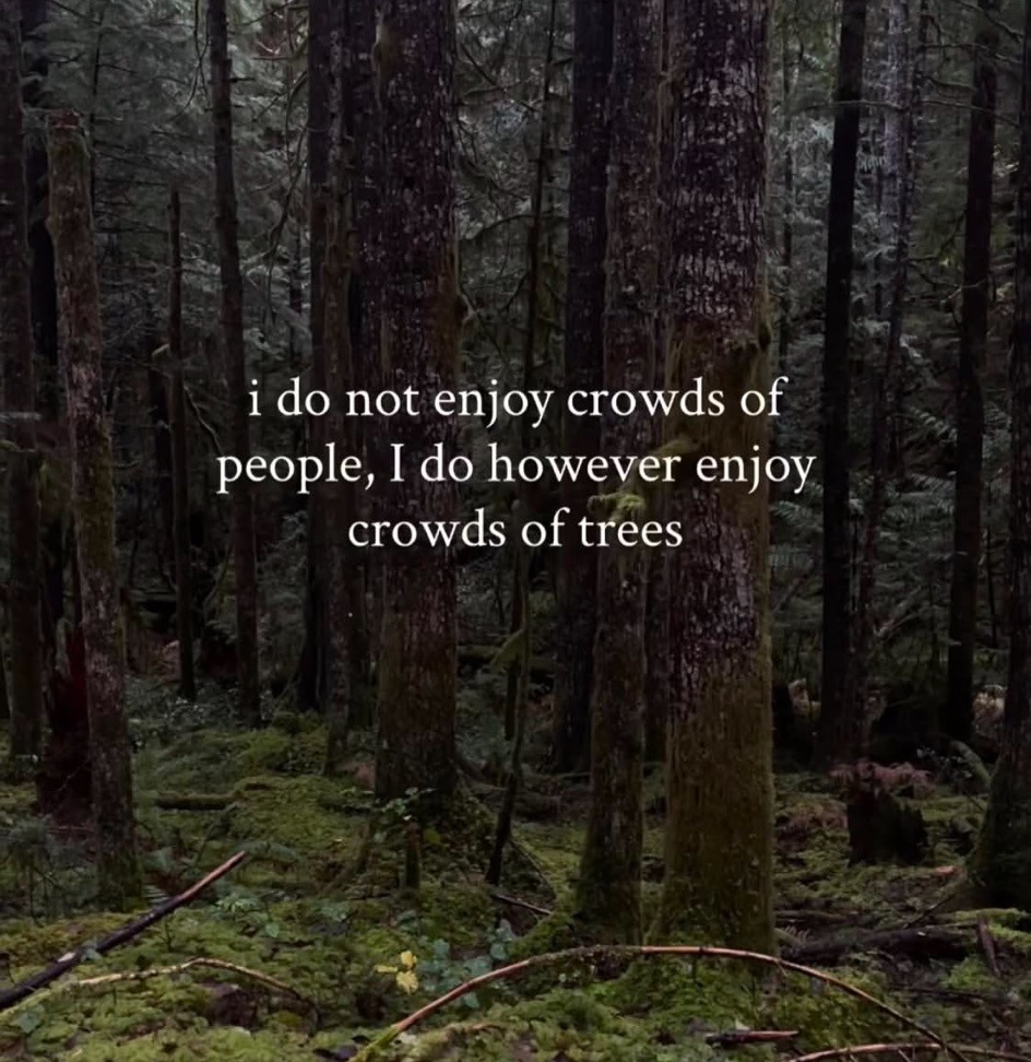 Synexdoche (@amor_fatti) on Twitter photo 