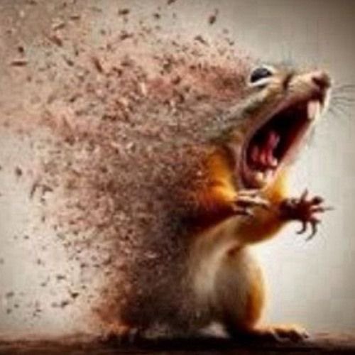 lebleppelin's tweet image. 