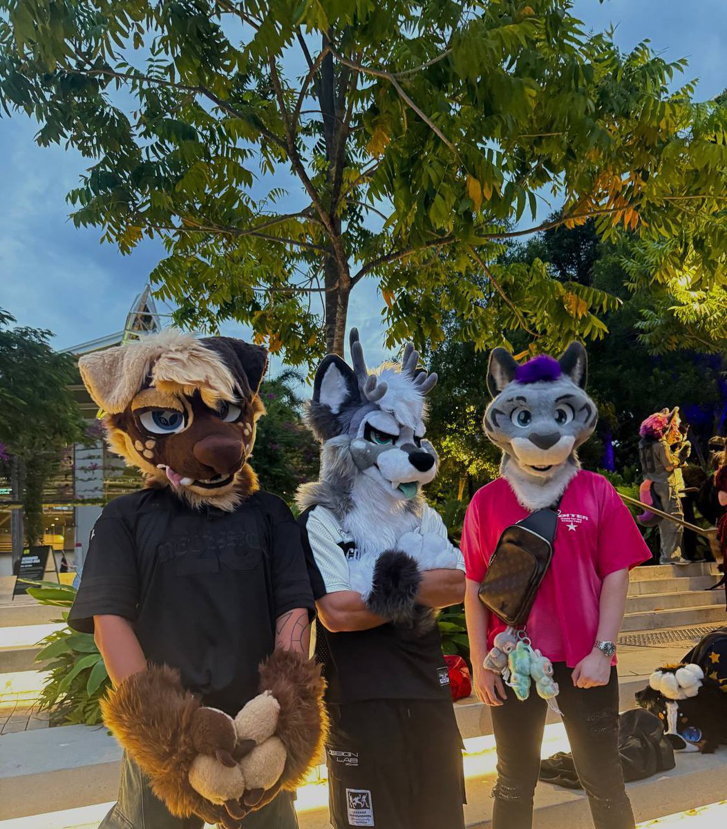 MickyU! 🎶|| 🔜FURDU26 tweet media