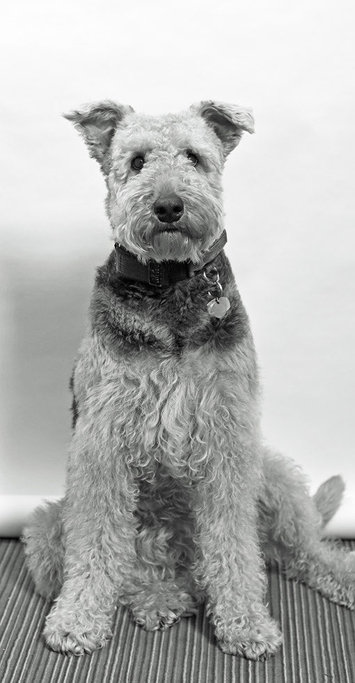 BTP Architects tweet media