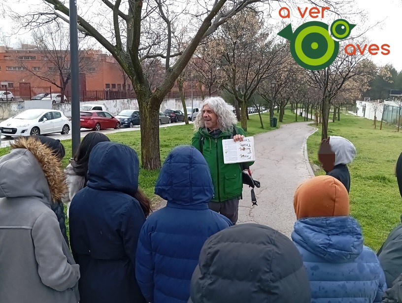 AverAves's tweet photo. A pesar de la lluvia, un curso más hemos completado todas las actividades con seis grupos de 1º de la ESO del @ies_pradolongo de #Usera
No llueve: a todo parque
Llueve un poco: con capuchas y paraguas
Jarrea: mitad en el aula, mitad fuera
Llueve al final: terminamos en la entrada https://t.co/GpKRHRUBio