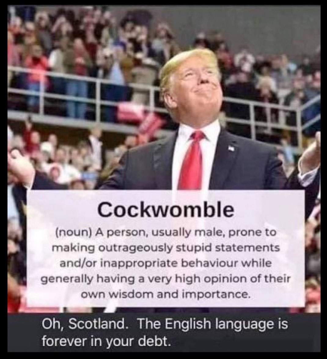 Well done Scotland! 🏴󠁧󠁢󠁳󠁣󠁴󠁿 🤣🤣🤣
