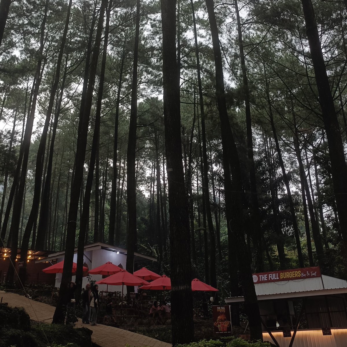 al ۫ ꣑ৎ tweet media