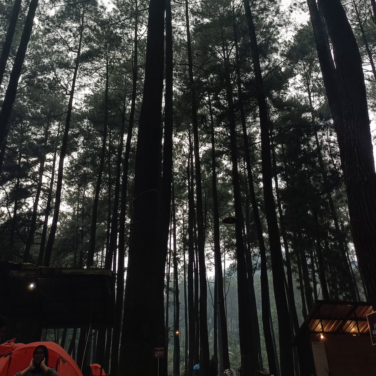 al ۫ ꣑ৎ tweet media