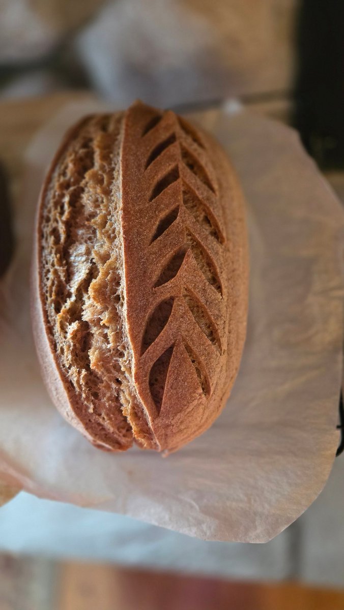 Liz Barney tweet media