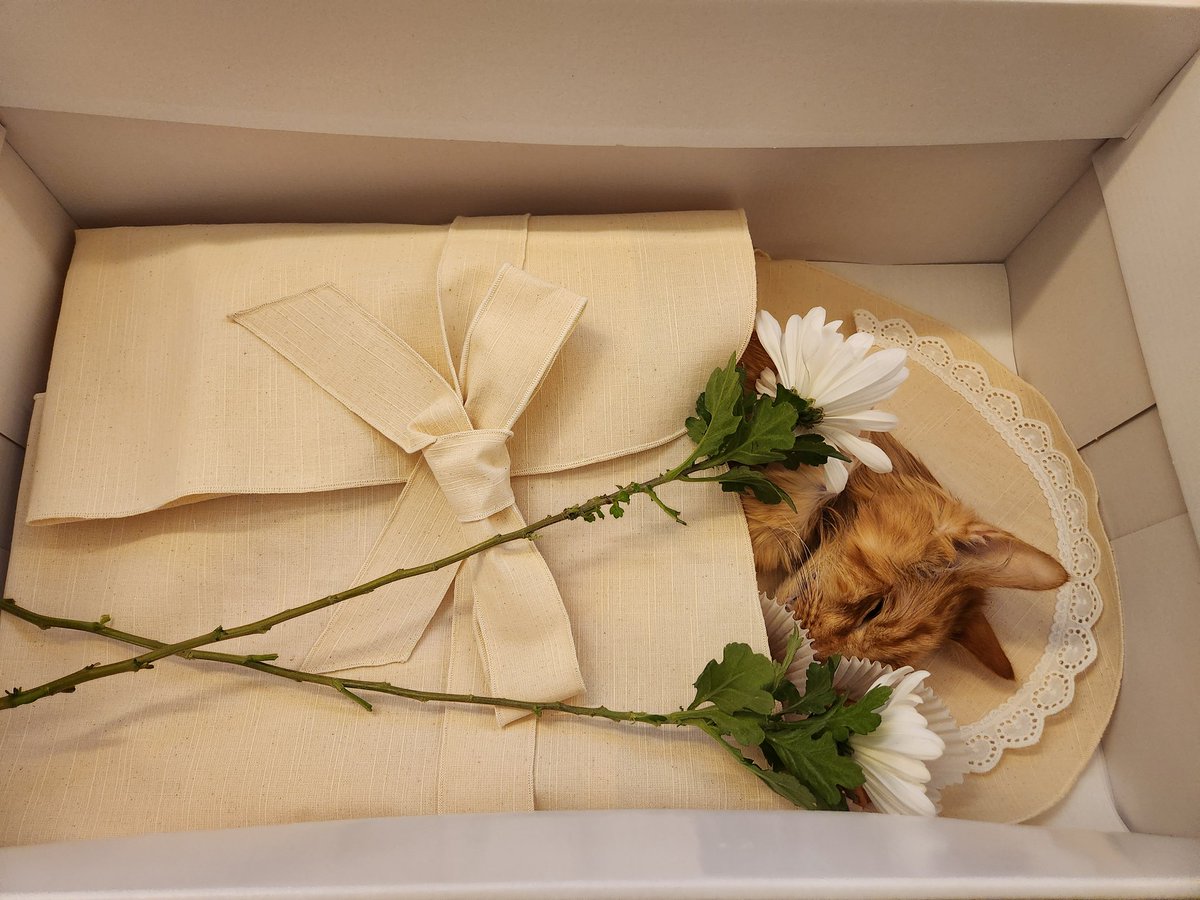 HOKDOM(Jungsuk Lee) tweet media