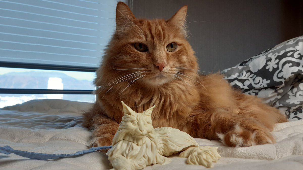 HOKDOM(Jungsuk Lee) tweet media