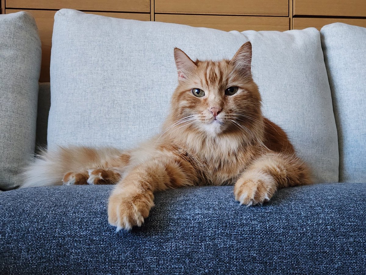 HOKDOM(Jungsuk Lee) tweet media