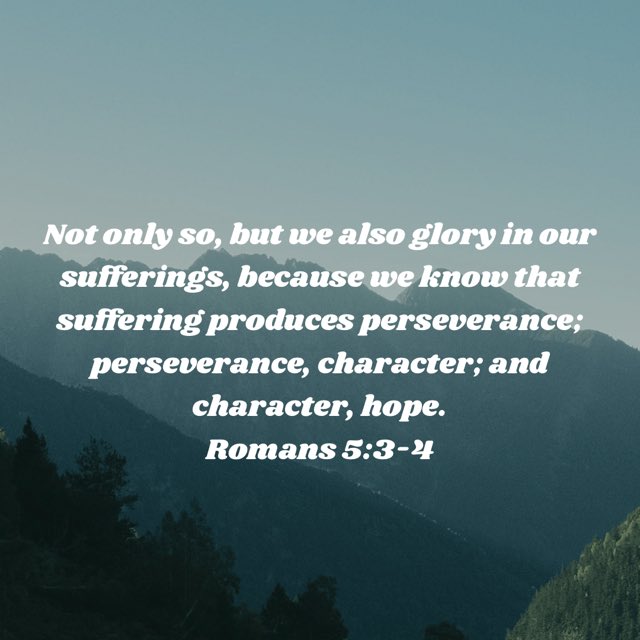 Rachel Storment tweet media