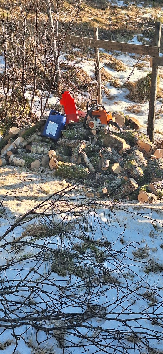 Nordmen flest er hel ved.
Vil du fremdeles ha fyr i ovnen er <a href="/Norgesdem/">Norgesdemokratene</a>  partiet for deg.