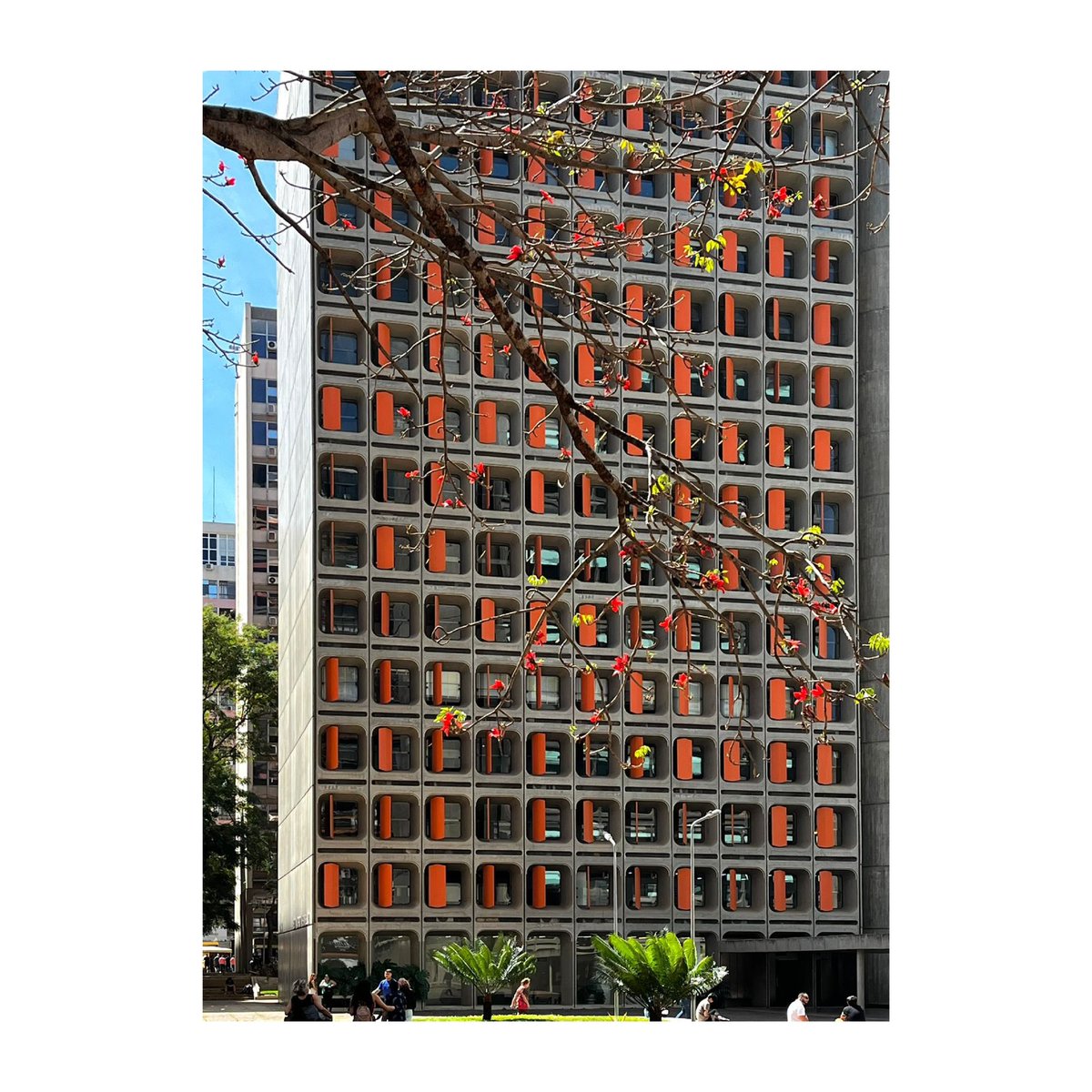 Bruno Helvetica da Silva tweet media