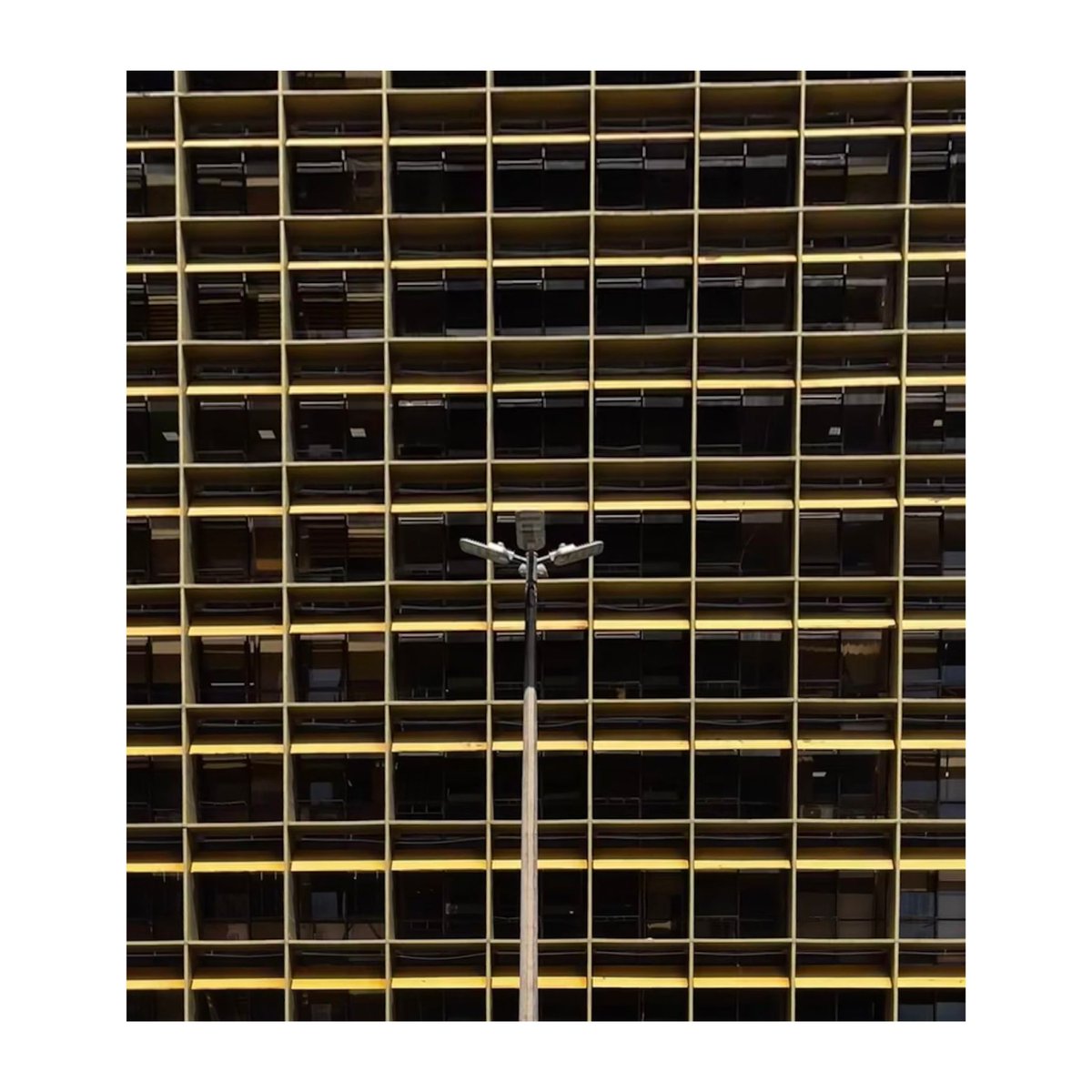 Bruno Helvetica da Silva tweet media