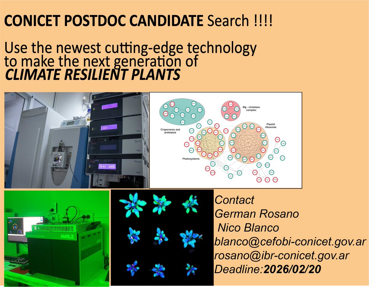 NicoBlanco tweet media