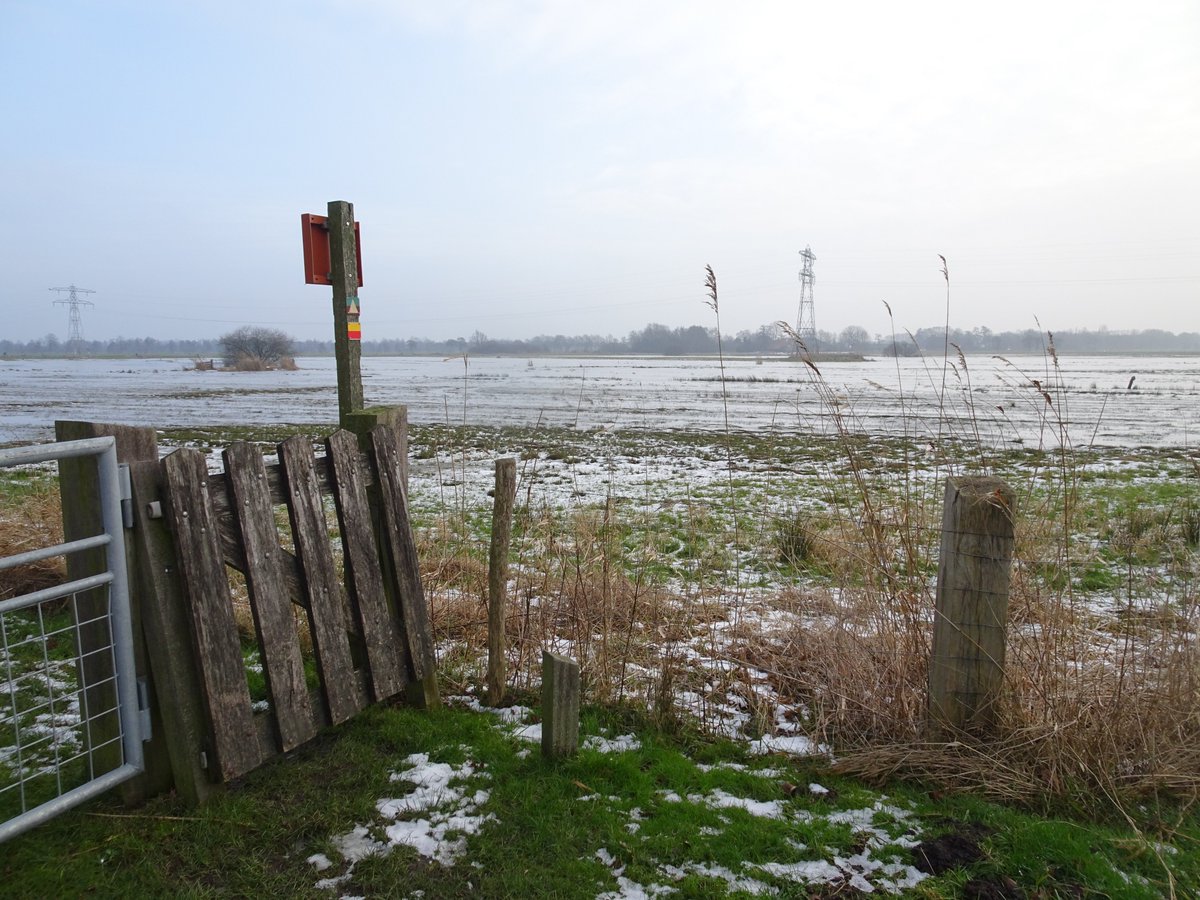 Wandelnet tweet media