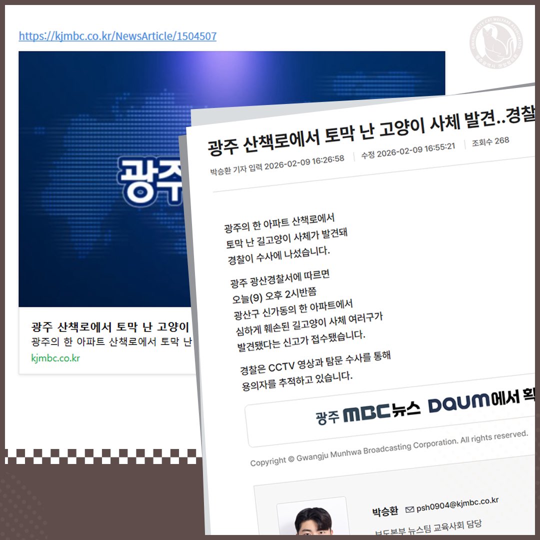 zAGBqlS8LXiiijt's tweet photo. 훼손된 자묘의 사체가 발견되었습니다.  전날 목에 케이블타이가 감긴 고양이를 구조해달라는제보가 SNS에 올라왔고 이후 광주협회커뮤니티에도 올라왔으며 SNS에서 이를본 @119ark 에서 광주로오셔서 구조시도를하는과정에서 부근의 사체들이 발견되었으며 당시 현장상황으로 보아 학대가 발생한지는 https://t.co/AMKbPSRpa8