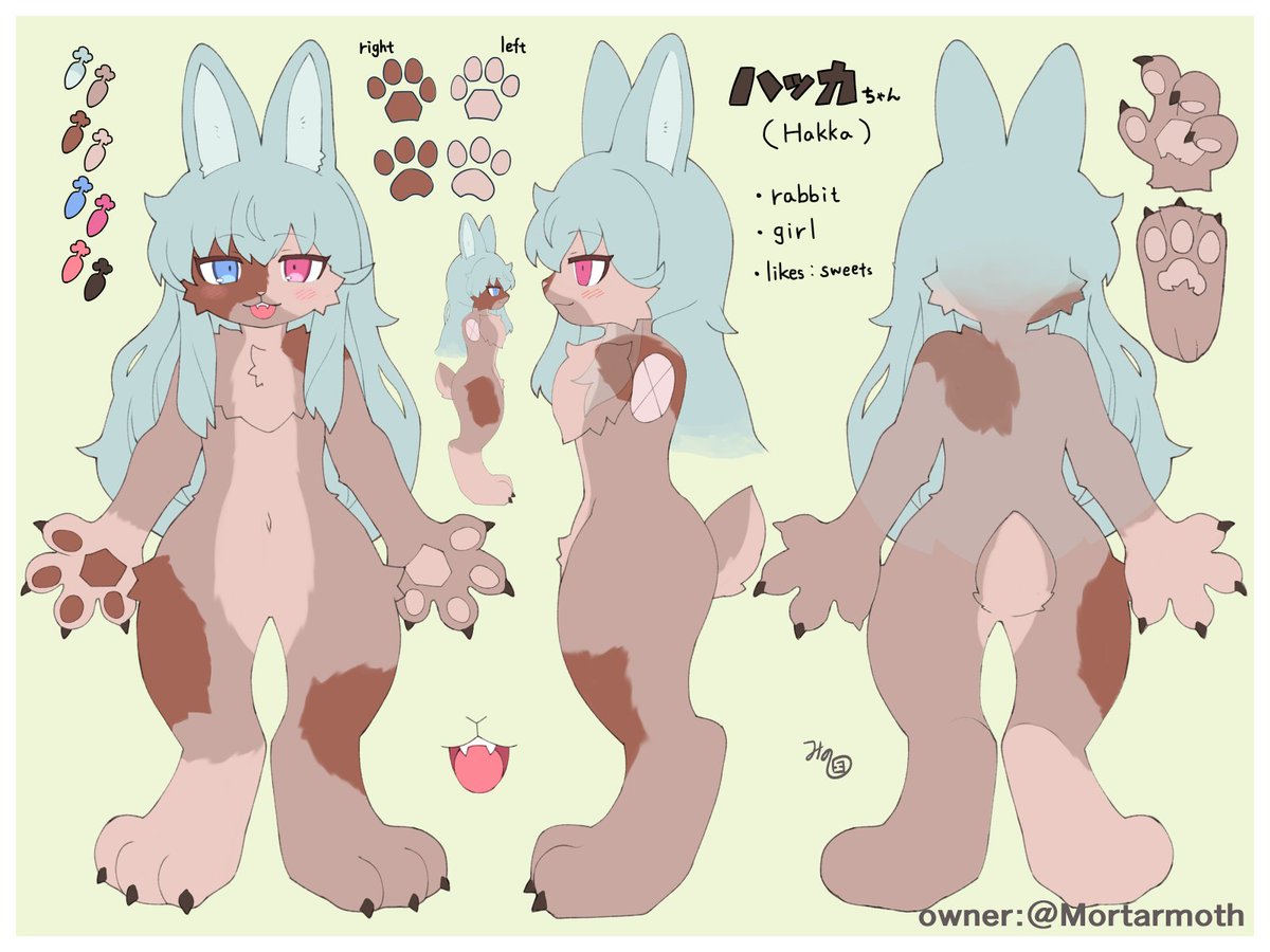 もふもふハッカちゃん🐾 