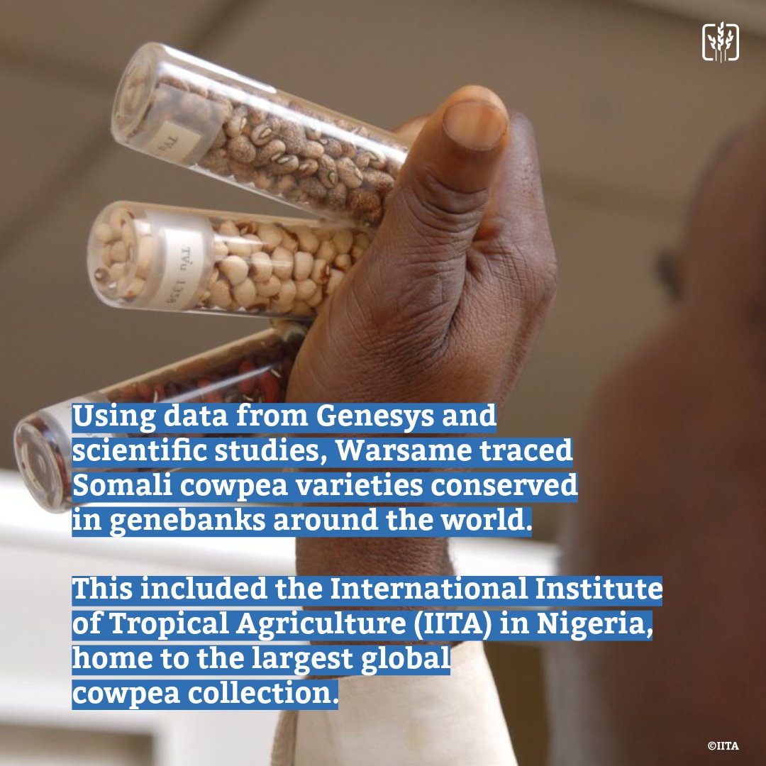 The Crop Trust tweet media