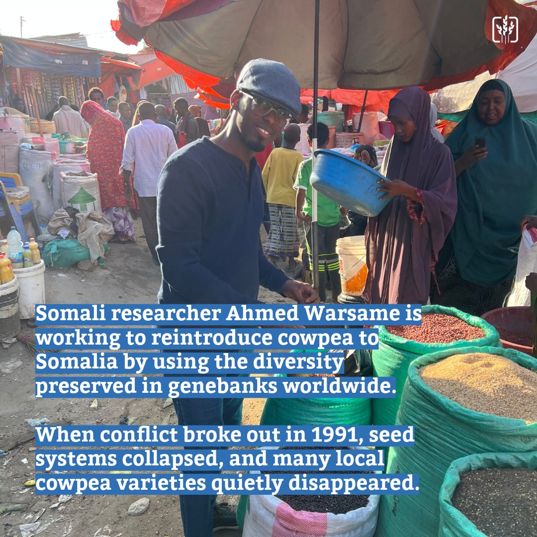 The Crop Trust tweet media