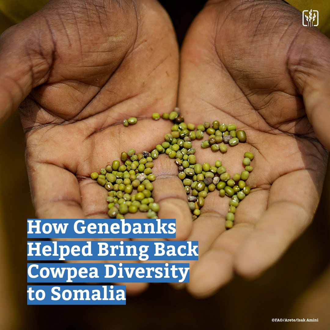 The Crop Trust tweet media