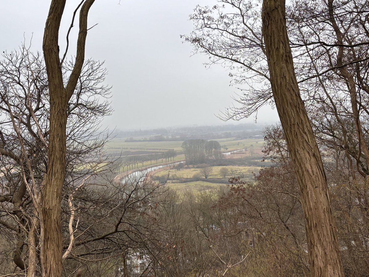 Sarah van den Elzen tweet media