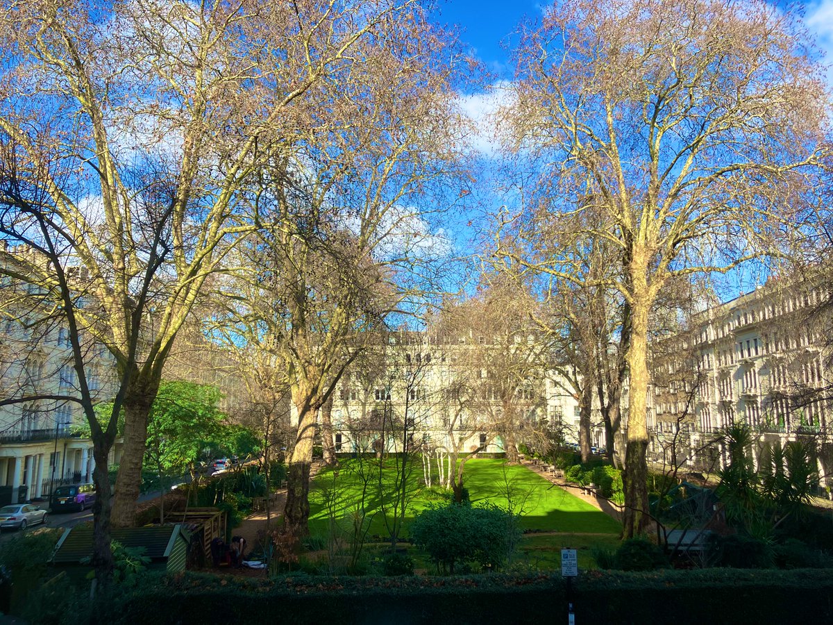 Masaya Kishimoto / 岸本昌也 tweet media