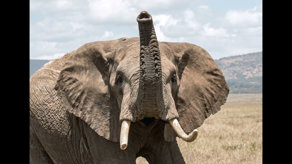 Tuesday!  Aren't you glad you did not take yesterday off.  So much was accomplished.  Even if it was a crud day, at least you got it out of the way.

Let's Do This!